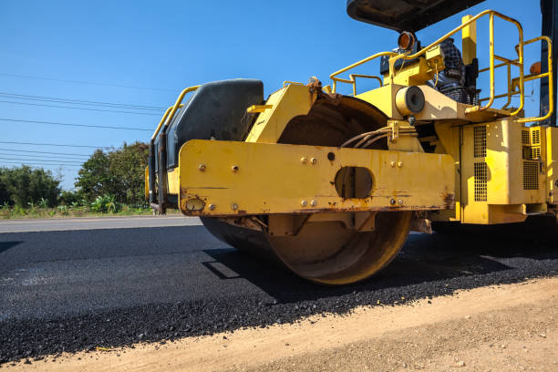 Best Local Driveway Pavers  in Beverly Hills, FL